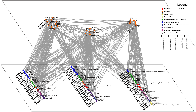 Synapse phosphoproteome mapping resource