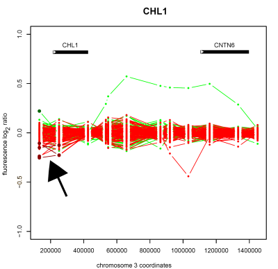 Detection of copy number deletion on chromosome 3 (arrowed) in the cell-recognition protein encoding gene <em>CHL1</em> in schizophrenic patient samples, as detected by whole-genome tiling path array CGH.