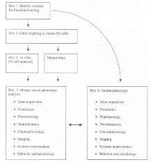 Figure 4: Schematic representation of Layer 3