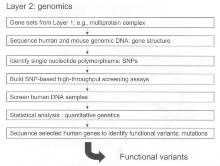Figure 3: Schematic representation of Layer 2