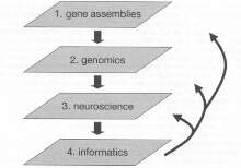 Figure 1: Overview of organizational layers
